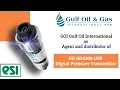 ESI GD4200-USB Digital Pressure Transmitter