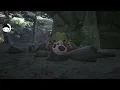 Chapter 7 Hop Skip and a Jump