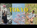 Lagu Tokyo Travel Vlog | 4 Days Exploring Shibuya, Shinjuku, Mount Fuji \u0026 More I Ep 8 I Vlog #154