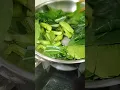Download Lagu paanu mag gisa ng gulan na shuisam #viralvideo #food #shortvideo #cooking #vlogger