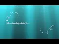 "When somebody thinks you're wonderful", Nicole Halsey, Pianist/Albert Ahlf