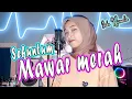 Download Lagu SEKUNTUM MAWAR MERAH (Elvy Sukaesih) DANGDUT COVER By Inka Rosmalia