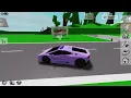 COP FAMILY vs ROBBERS in Brookhaven Roblox