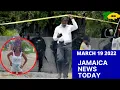 Download Lagu Jamaica News Today March 19 2022/JBNN