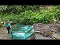 Download Lagu The boy used nets and bamboo dams to catch giant fish to sell | Jota life