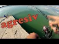 Download Lagu E greu până faci saltul... și iei unul după altul🐟