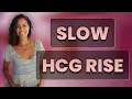 Can Slow Rising hCG Levels Indicate a Healthy Pregnancy