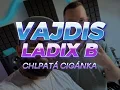 Download Lagu Vajdis X Ladix B - Chlpatá Cigánka   /Extended version/ Fajta G's