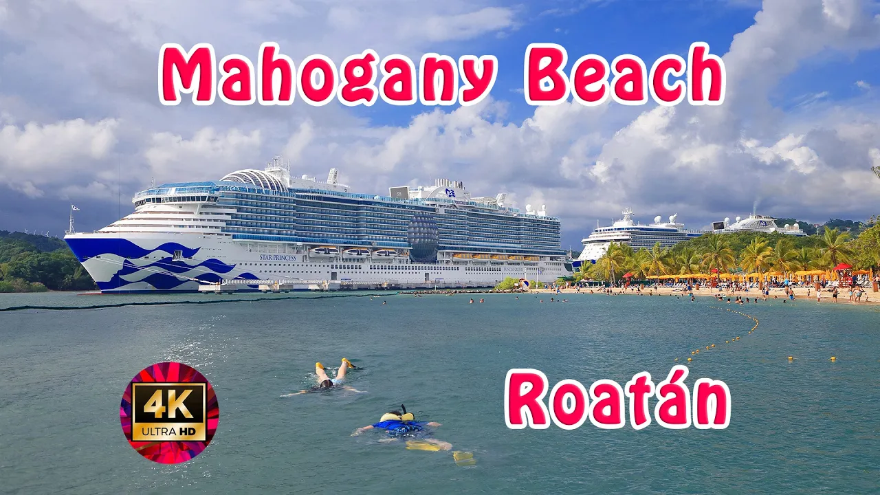 Star Princess: Explore Roatán Mahogany Beach - What exactly is there to do for fun?