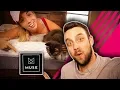 Download Lagu Muse Mattress Review - COOLEST SLEEP YET?!?