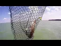 Detroit River Walleye Fishing