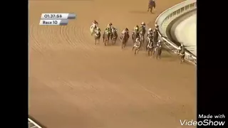 البطل علي الفرماوي دندنها