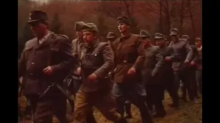 Мертві бджоли Пісня УПА 