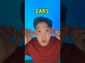 What s on My Face Kids Learning Game