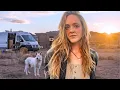 Too Much to Build, Not Enough Time // Building my Life ALONE in the Desert