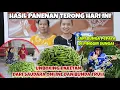 LOOK FOR PAPAYA FLOWERS \u0026 EGGPLANT HARVEST TODAY‼️UNBOXING PACKAGES FROM SAUDARA ONLINE \u0026 BUNDA T...