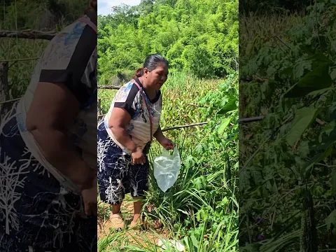 ทางสะดวกไม่มีใครอยู่พอดี​