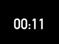11 seconds countdown timer without alarm
