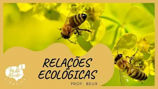 RELAÇÕES ECOLÓGICAS - Ensino Fundamental