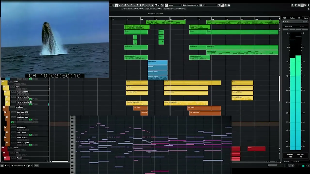Cubase DAW project session for Right Whale