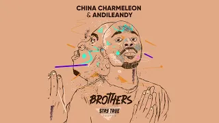 china charmeleon u0026 andileandy keep me hoping dub ft samke