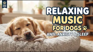 Relaxing Music for Dogs 24/7 | Anti-Anxiety Sleep Music & Stress Relief