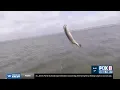 Big Fish Report Lake Pontchartrain