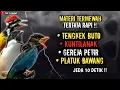 Download Lagu NGERIII..!!!MATERI TERMEWAH TEMBAKAN TENGKEK BUTO, KUNTILANAK, GEREJA PETIR, DAN PLATUK BAWANG !!