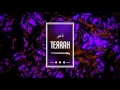 STARLITO & DON TRIP - CAESAR AND BRUTUS (LEVEL FLIP)