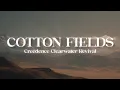 Creedence Clearwater Revival - Cotton Fields little bitty baby