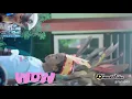 Download Lagu Seru dj