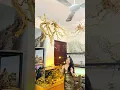 Một mẫu bể biotop của Bách Khoa aqua để khách yêu tham khảo đây ạ 😍😍😍
