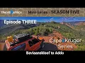 Download Lagu Tracks4Africa - Mini-Series – CAPE2KRUGER Series: Baviaanskloof to Addo | 4x4 Adventure