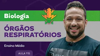 Órgãos respiratórios ​- Biologia - Ensino Médio
