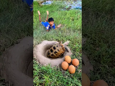 Survival Skills SMART Idea and USEFUL  turtle 🐢#bushcraft #camping #outdoors #usefulpart65