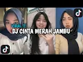 Download Lagu DJ CINTA MERAH JAMBU BY AJENG FEBRIA VIRAL TIK TOK TERBARU