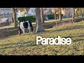 Download Lagu paradise (speed up)