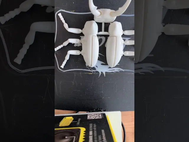 Foldable Stag Beetle - Flexi video thumbnail