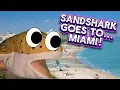 Download Lagu FAF Movie: Sandshark Goes To Miami! (Ft. M.A.C)
