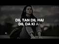 Dil Ta Pagal Hai   Lofi   Slowed+Reverb   Babbu Maan ｜｜ Punjabi Sad ｜｜ Lyrics ｜｜ Lofi Soft Music