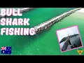 Targeting Bull Sharks at Evans Head