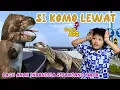 Download Lagu Lagu Si Komo Lewat | Lagu Anak Hits Dan Populer Sepanjang Masa | Si Komo Lewat Tol