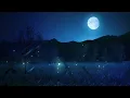 Maana ke hum yaar nhi | Arijit Singh | Reverb only | Meri Pyaari Bindu |