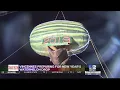 Watermelon Drop