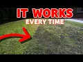 The secret to a thick lawn starts here Beginner lawn care tricks