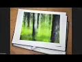 Canson Infinity Webinar Crafting the Expressive Print with Robert Rodriguez