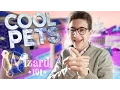 I LOVE DOUBLE PET XP Wizard101 Pet Training