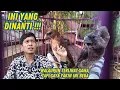 Download Lagu Update Lengkap Anak Burung Kaji Emje Dan Emprit Jawa