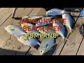 Jacksonville Beach Pier Pompano