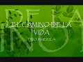 EL CAMINO DE LA VIDA musica y letra